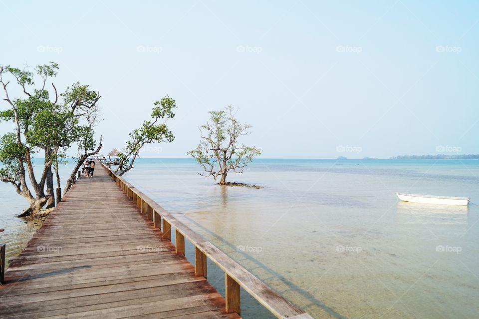 Tree in the sea