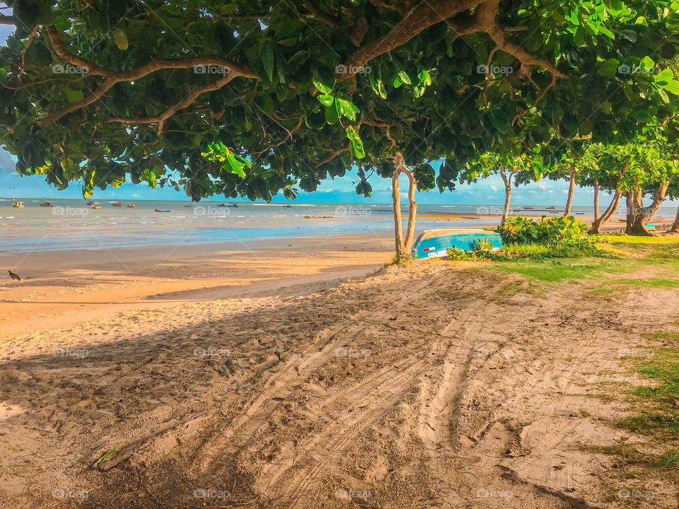 Cumuruxatiba beach Bahia Brazil