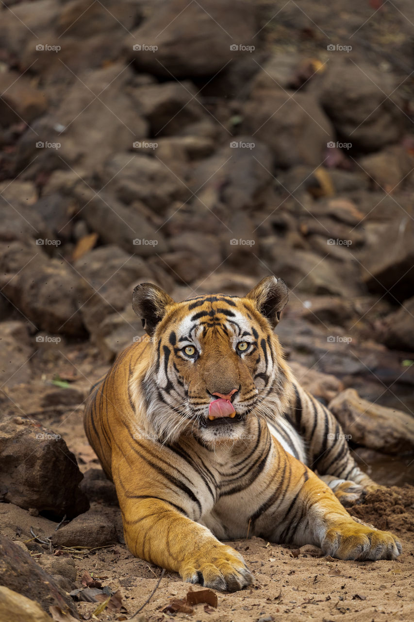 The look in those eyes! ❤️