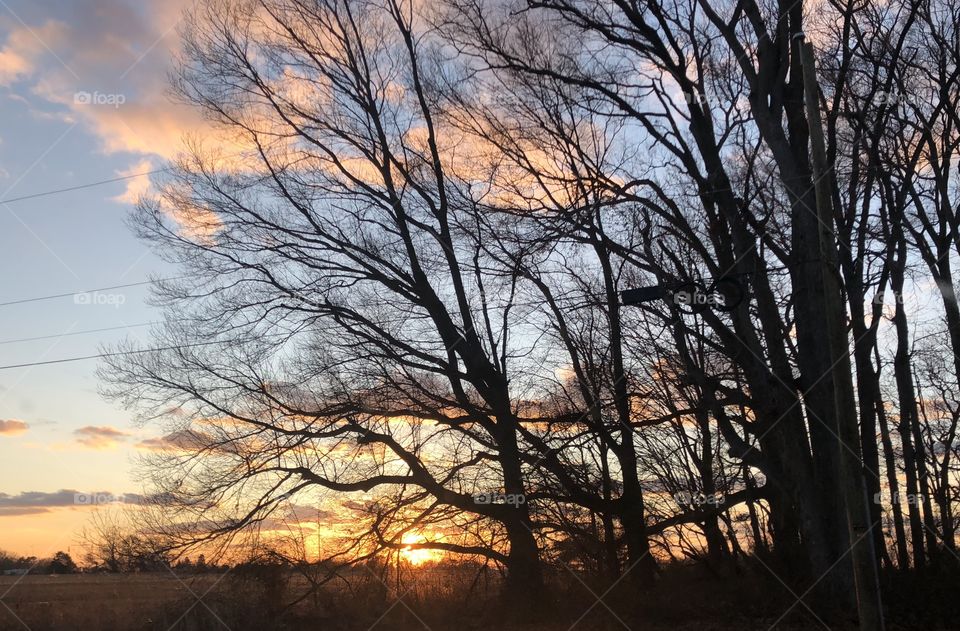 Sunset. Woods. Maryland. Loving life. Views. Nature. No filter. 