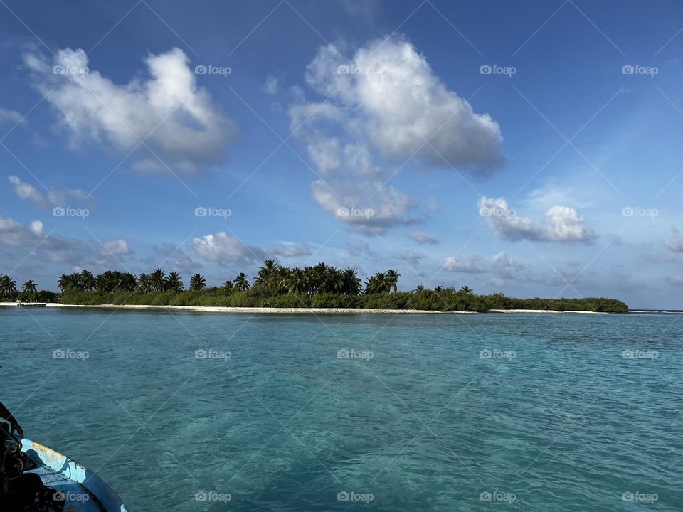 Approaching an island in the Maldives on a sunny day through a crystal clear lagoon where reefs and colourful fishes are visible.