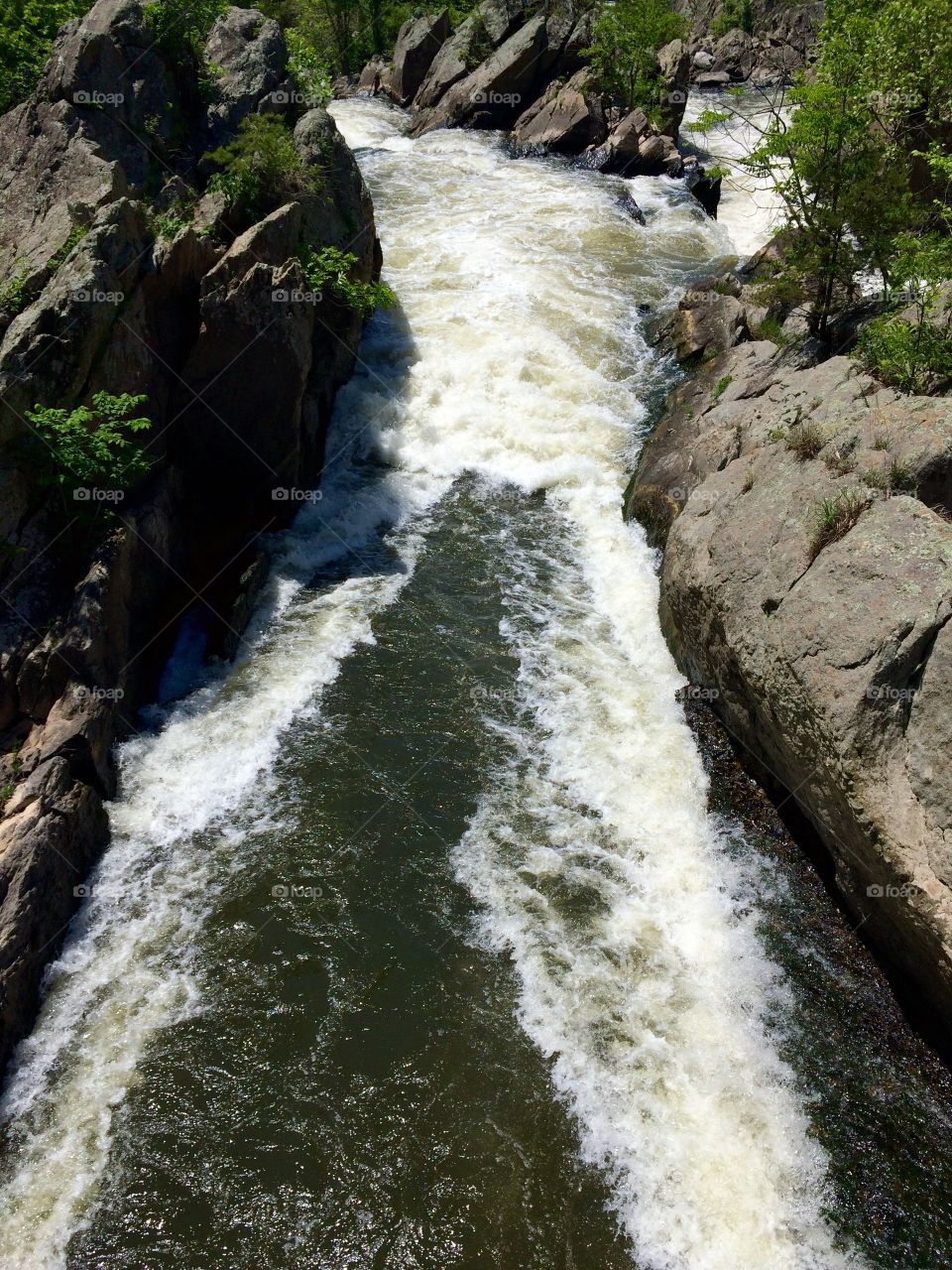 Great Falls on the Maryland Side . Photo of the falls
