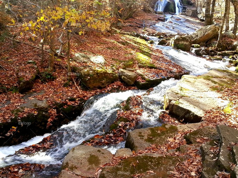 Hiking in southwestern Virginia