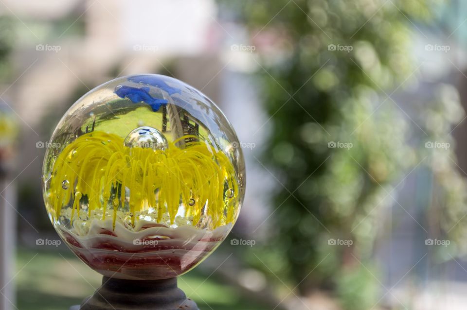 Flower in the Glass ball 