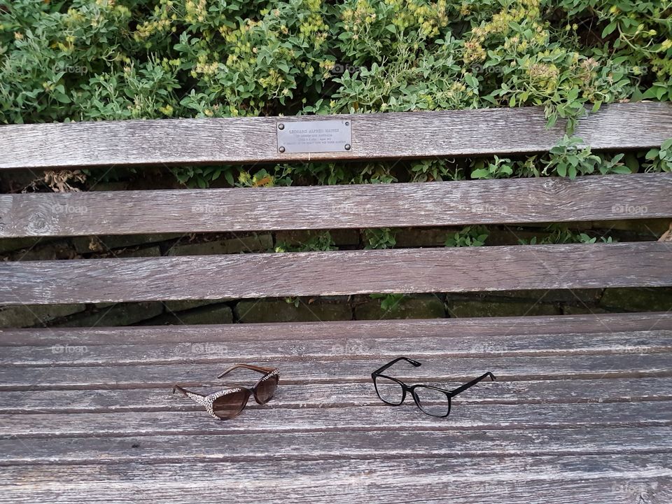 Alone Glasses