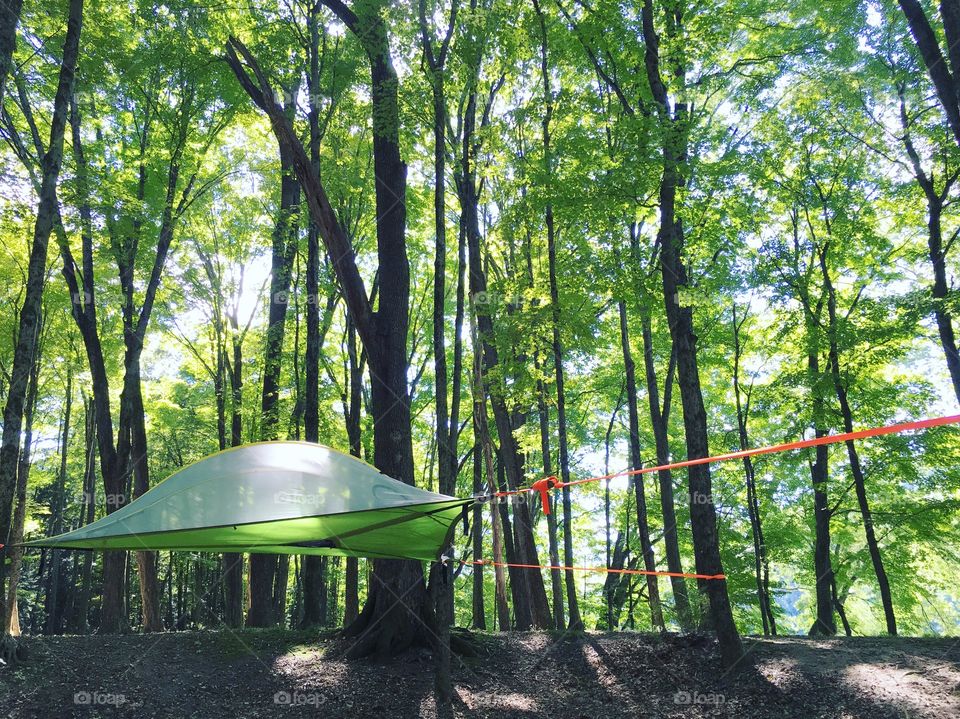 Tentsile