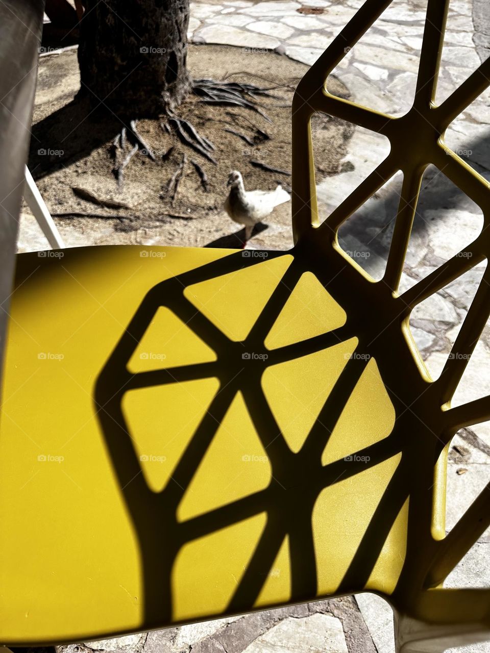 Yellow polystyrene outdoor chair with strong shadow of open pattern back on flagstone with a pigeon peeking near palm tree roots