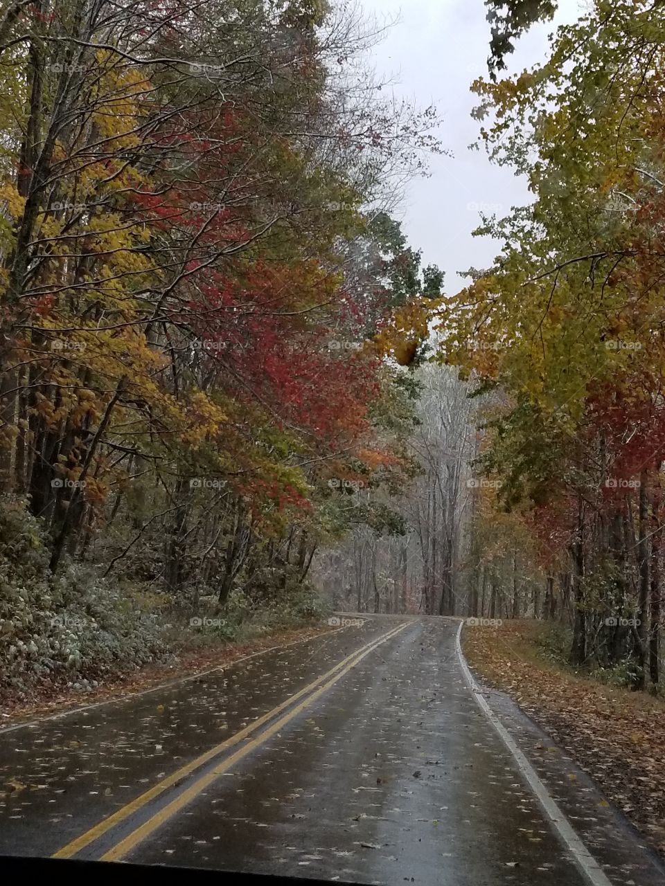 Snowing on the mountain