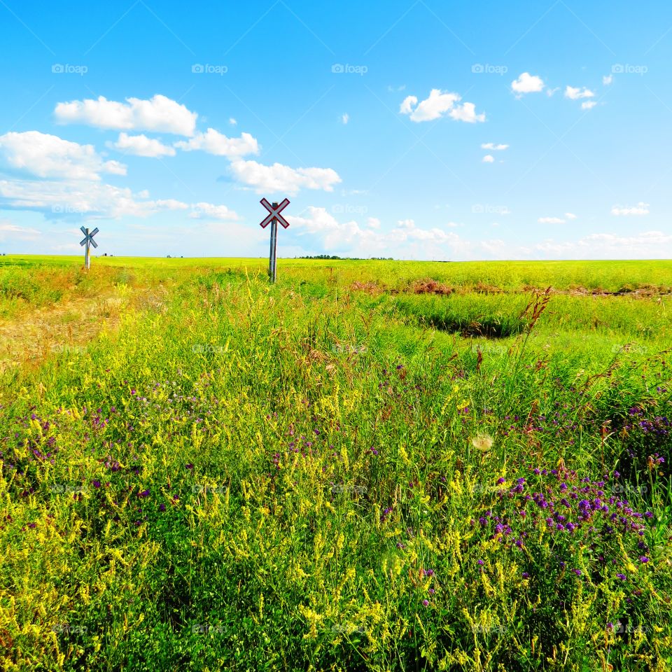 Fields of every color of the rainbow 