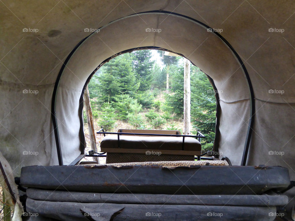 view into an old horse Carrier with forest trees in background