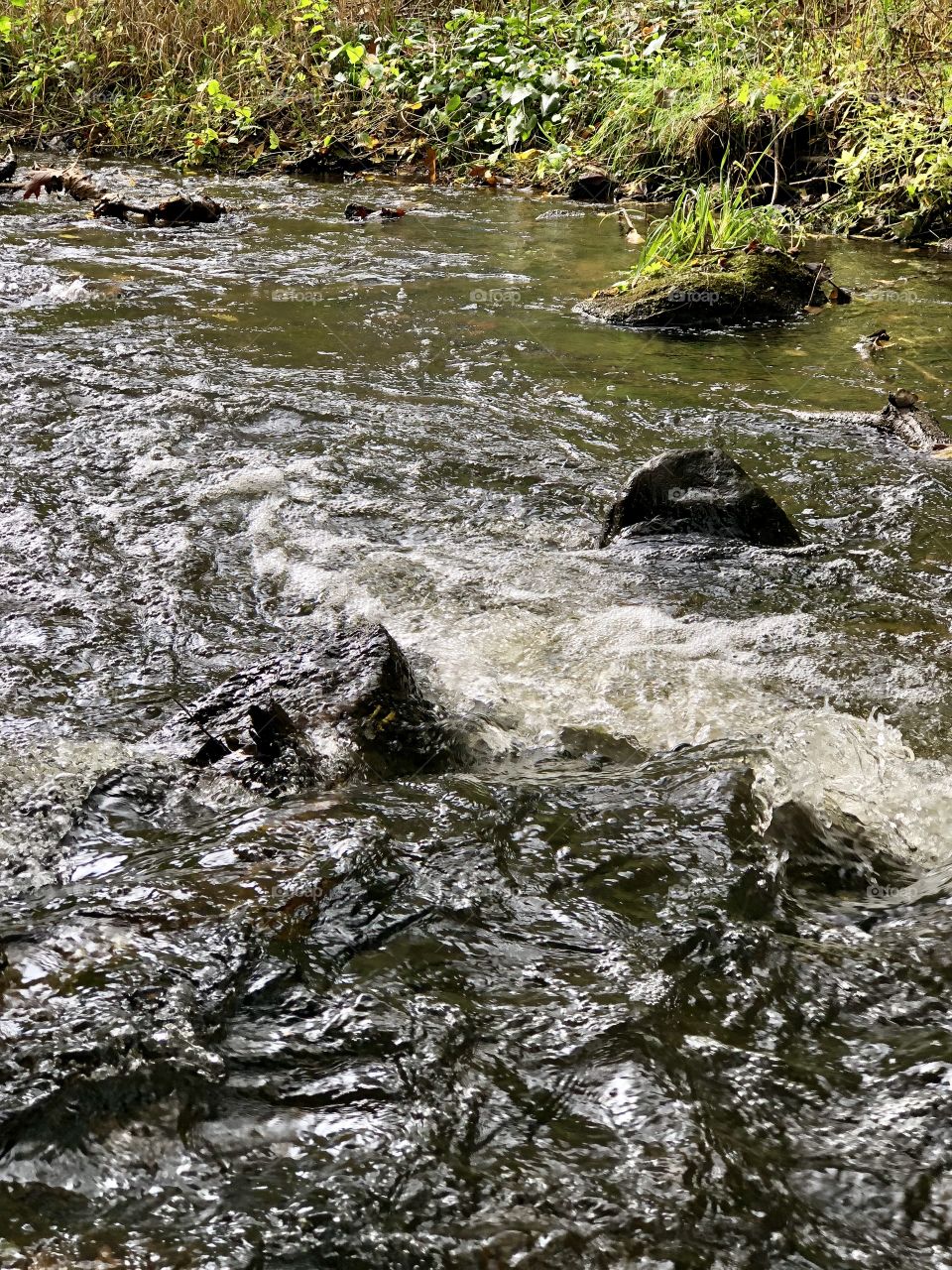 Stream rapids