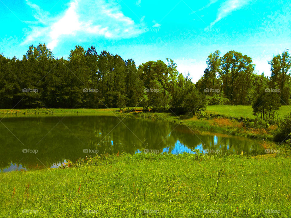 nature sunny pond woods by g_mill
