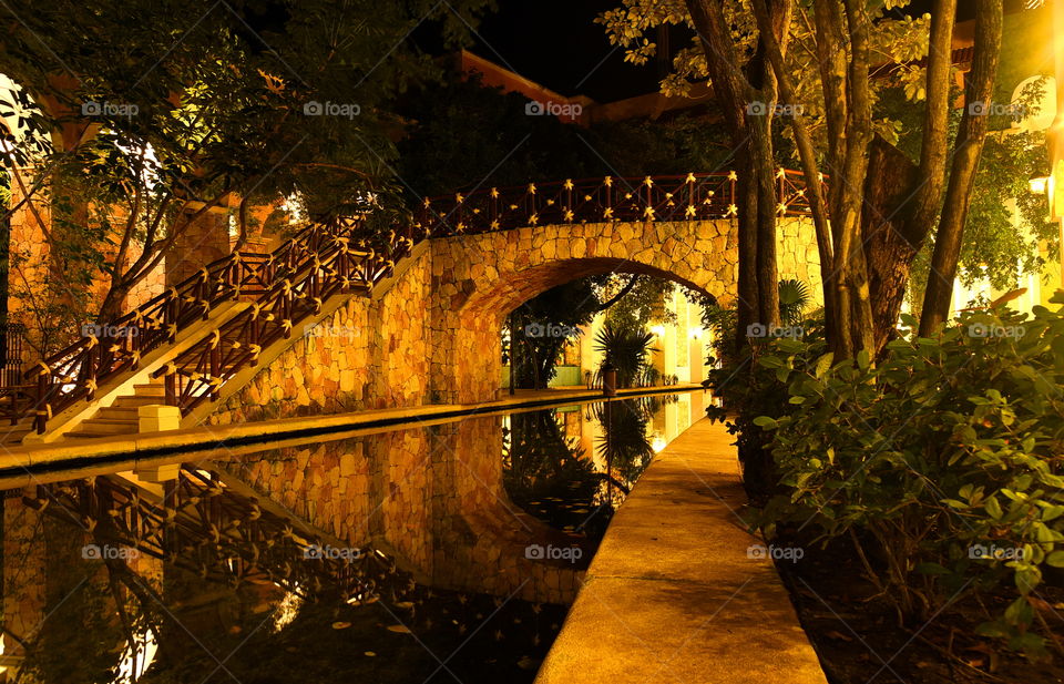 Light, No Person, Tree, Bridge, Fall