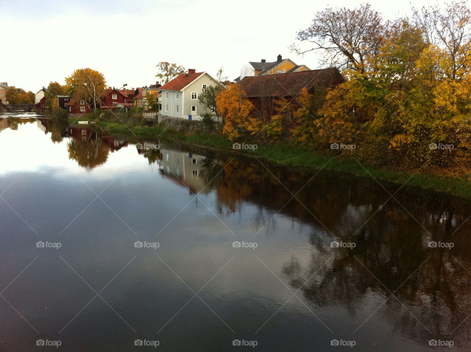 landscape sweden nature trees by comonline