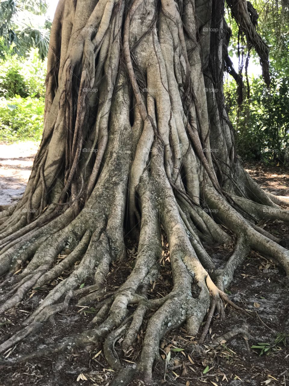 External environment texture.  Click by Selsa. 