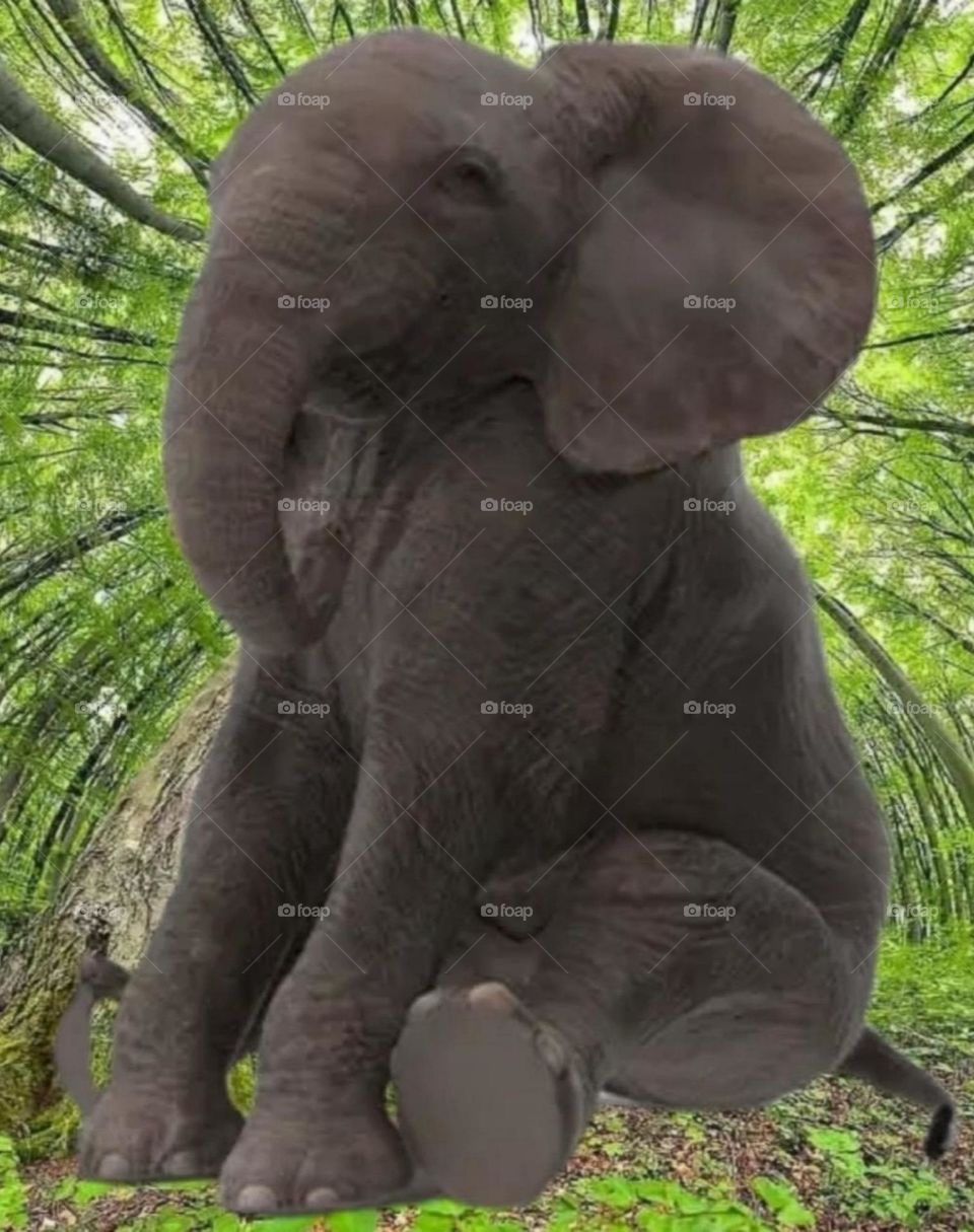 most beautiful and attractive view of the park.