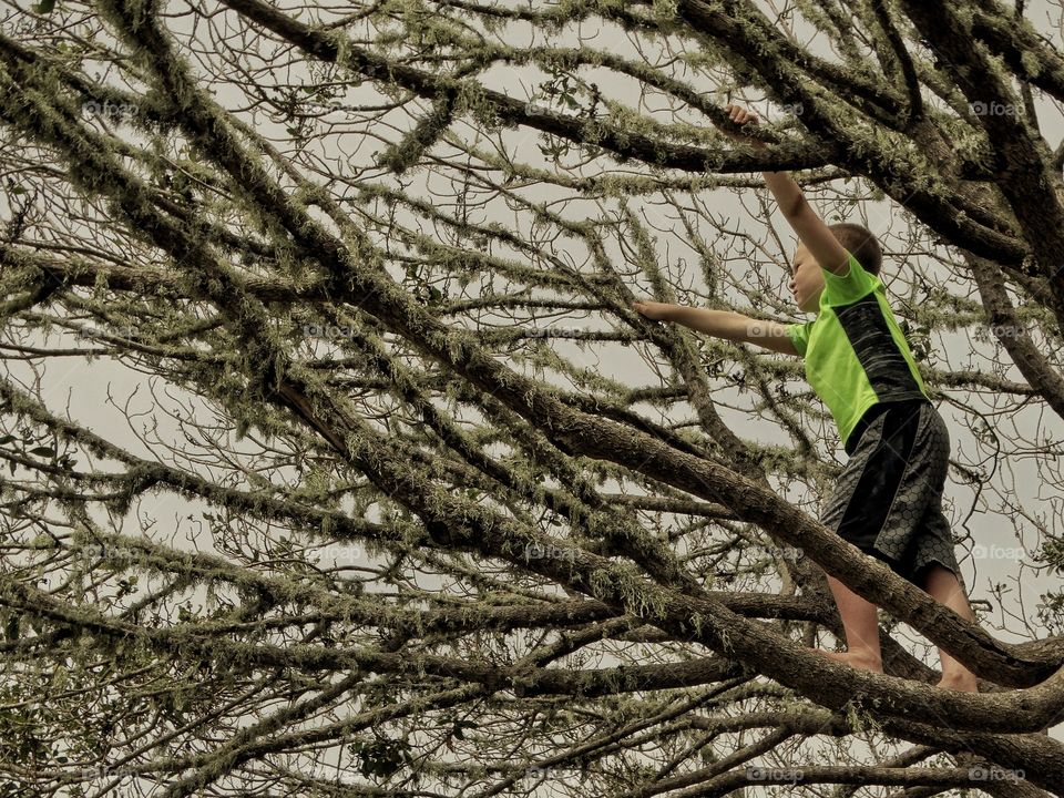 Healthy Boy Climbing A Tree
