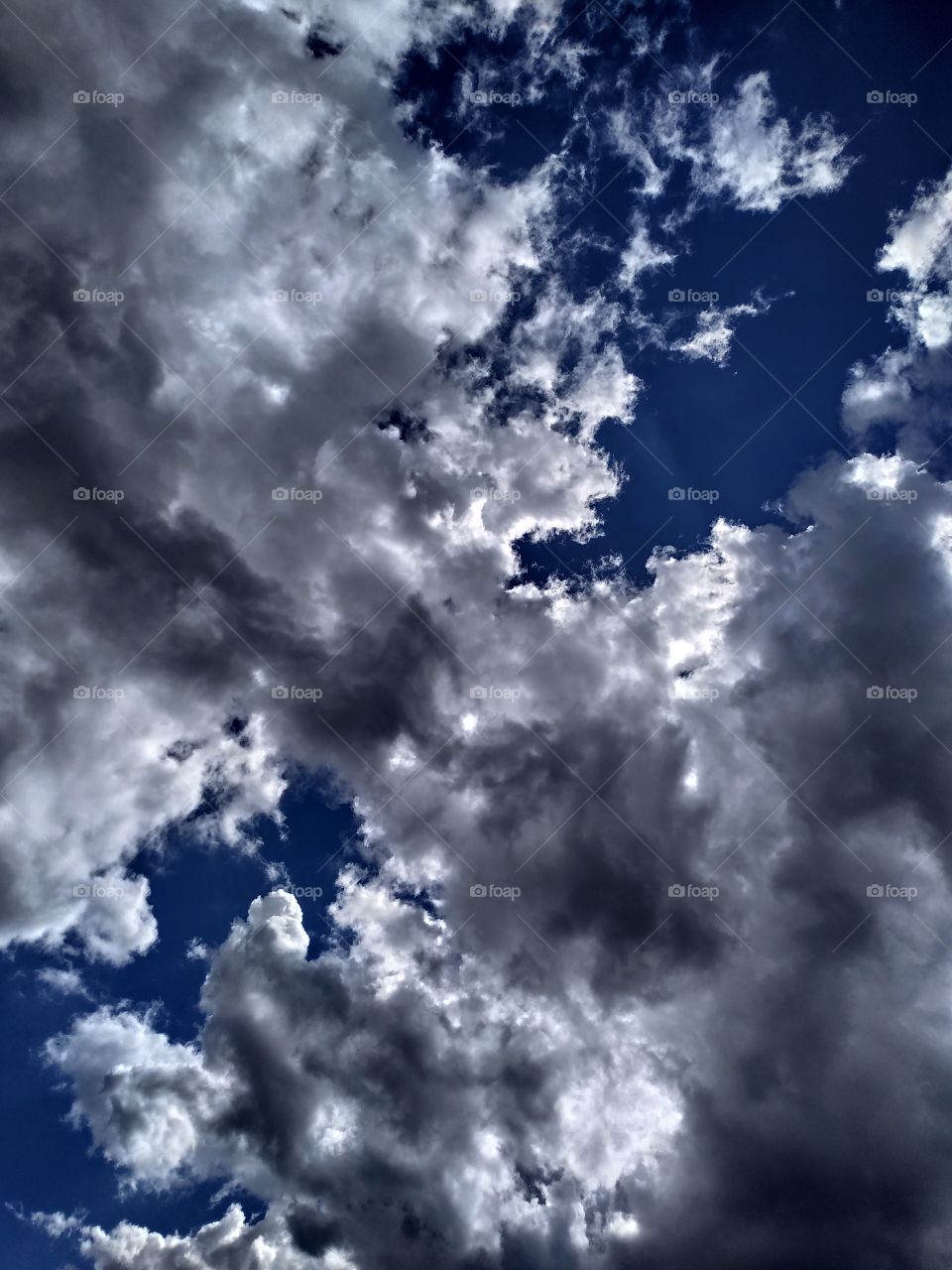 the clouds
облака