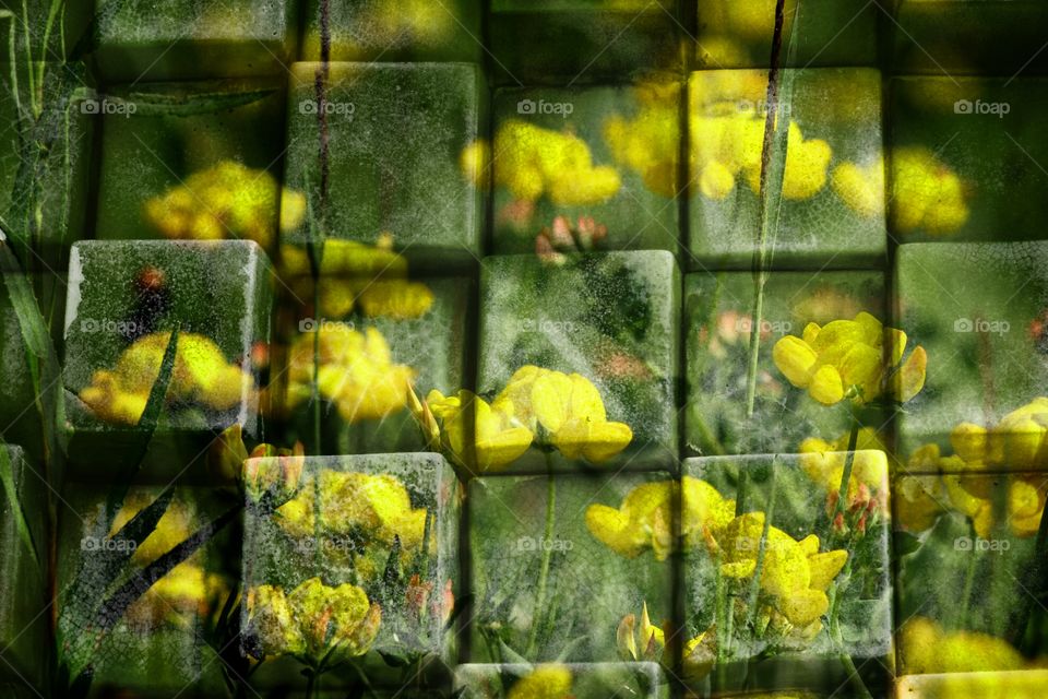 Cube effect with bright yellow flowers-no frame 