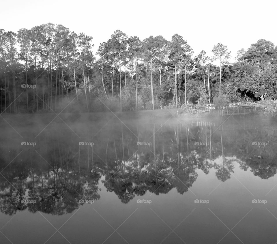 Color vs Black and White Foap Missions- Steam Fog rises off the surface of the pond and reveals the reflection of the forest trees