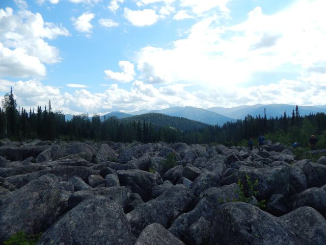 The beauty of nature