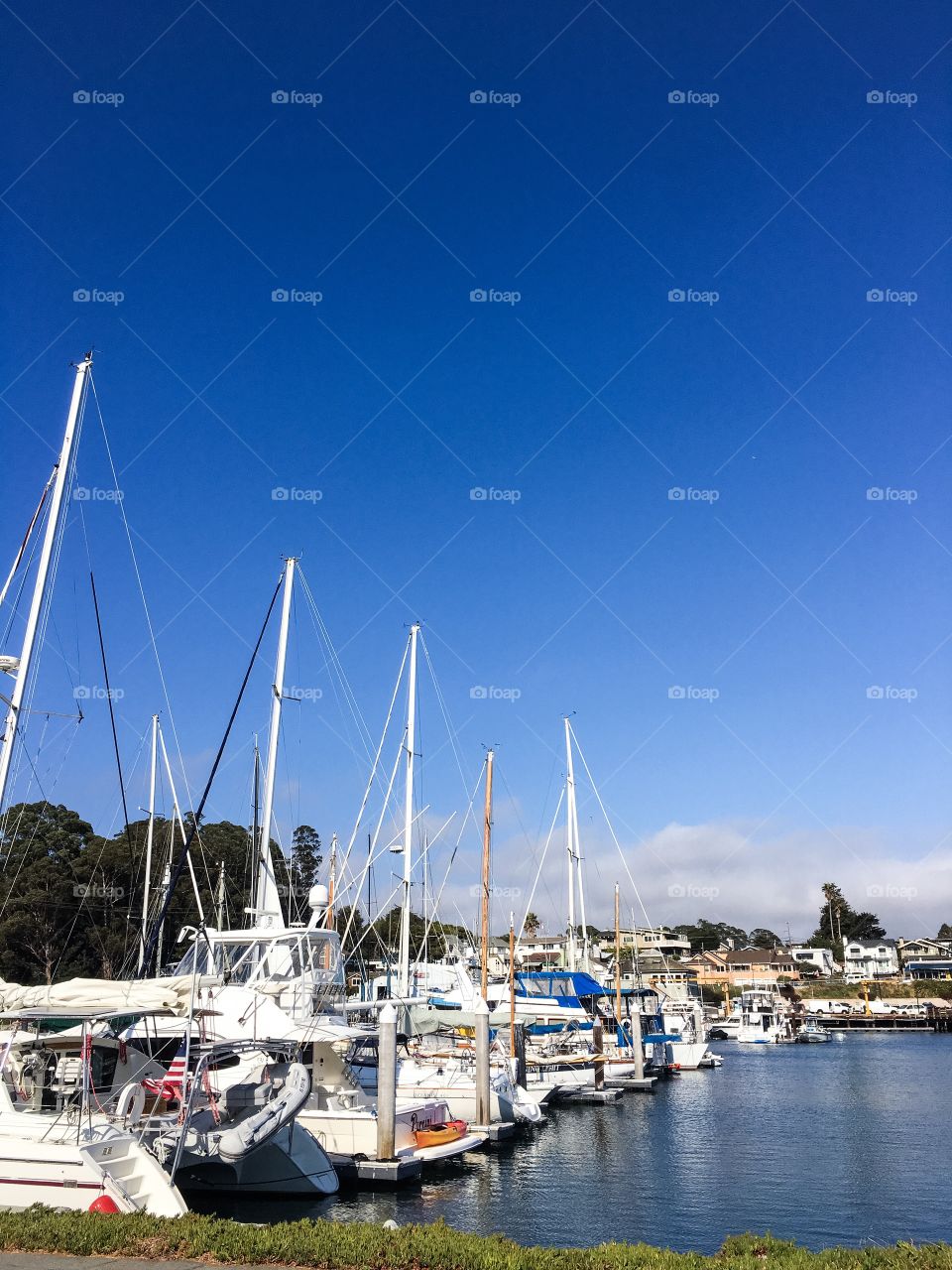 Boats at dock