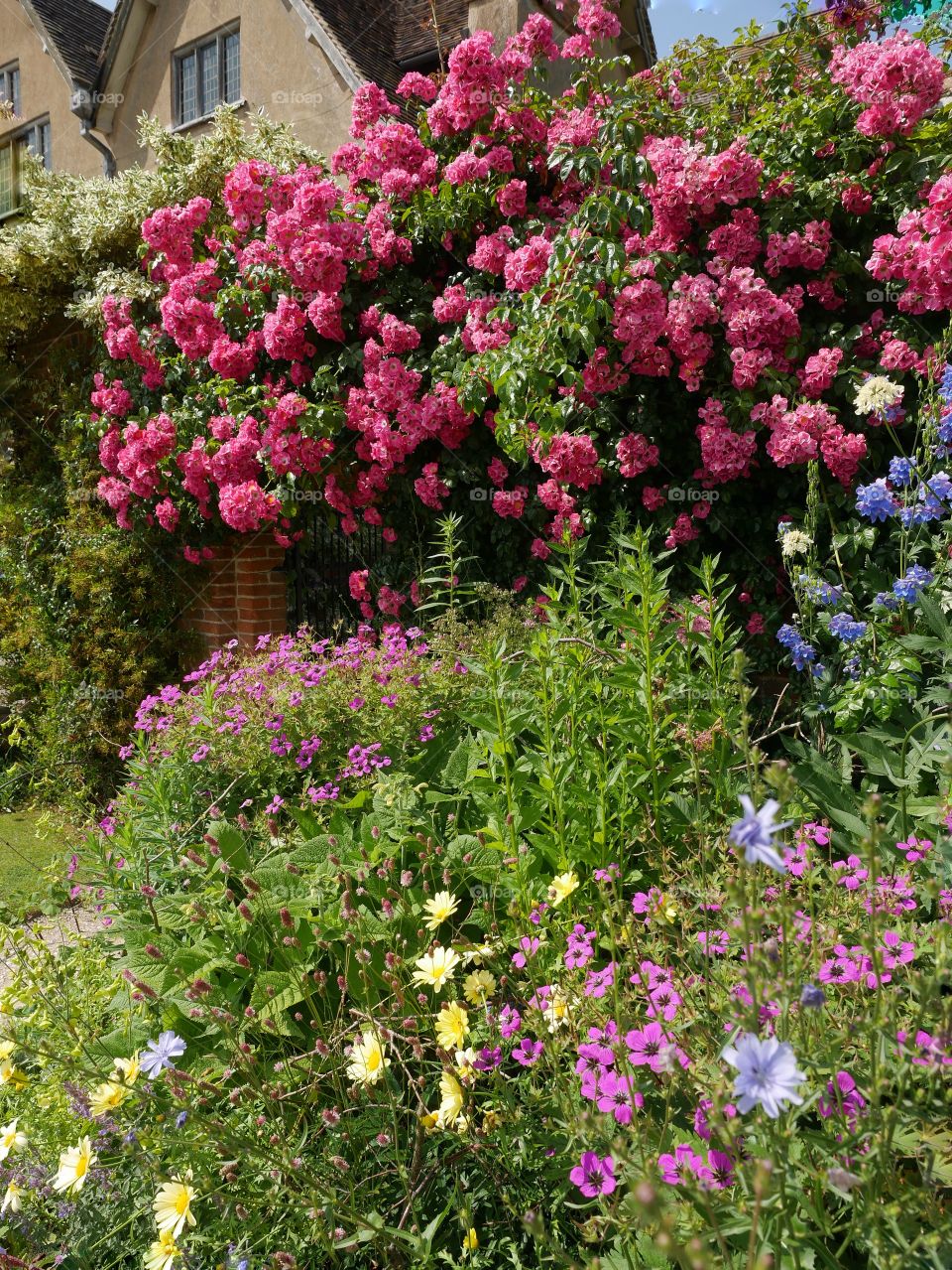 	Formal gardens of Packwood House stately home - Warwickshire, England UK.