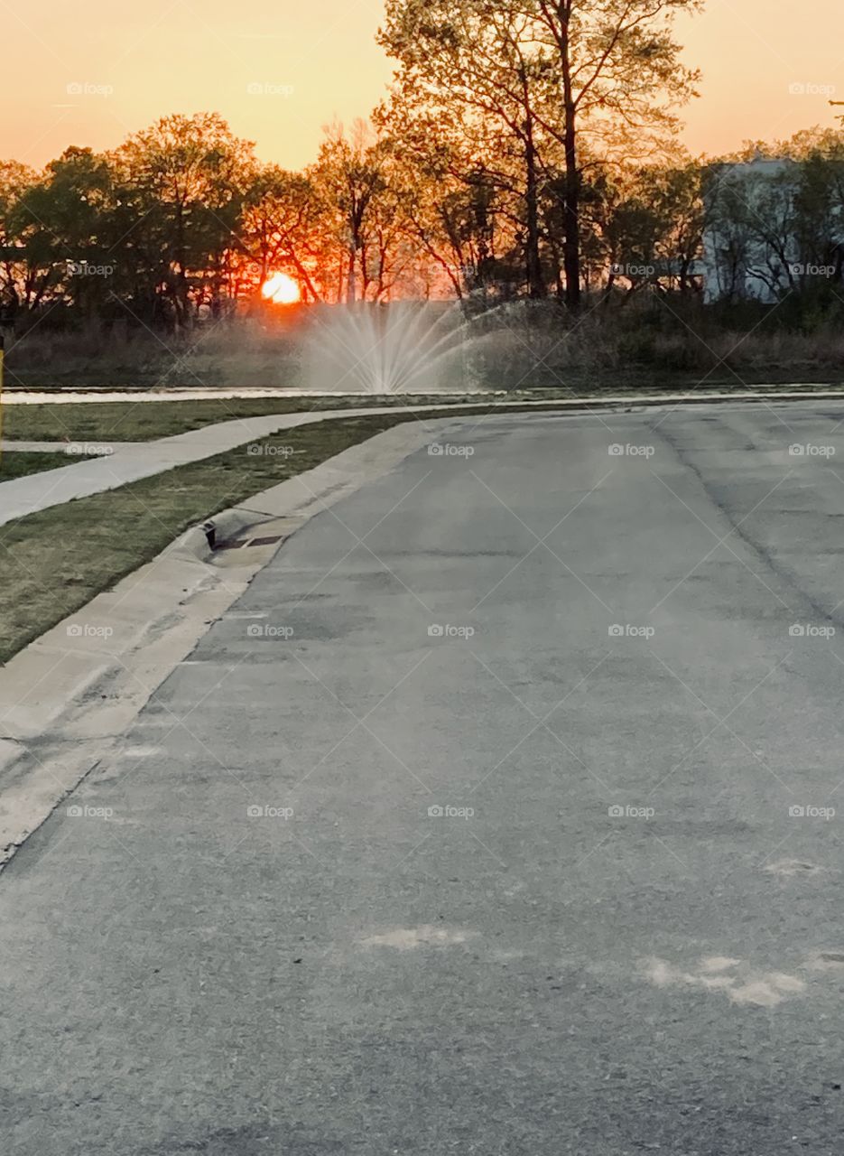 Sunset though the trees by water fountain