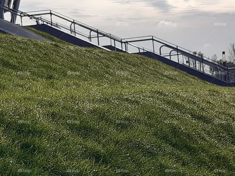 stairs in natural mood with drops of crystal water on fresh green grass, after rain