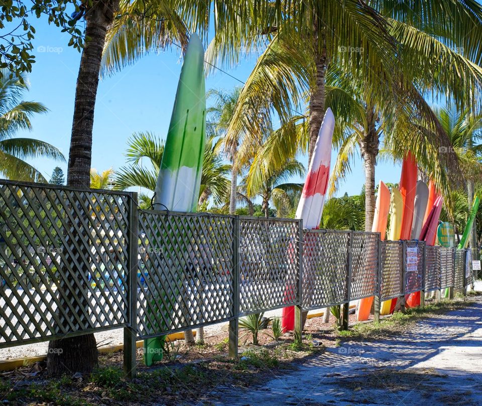 beach surfboards . driving by surfboards. 