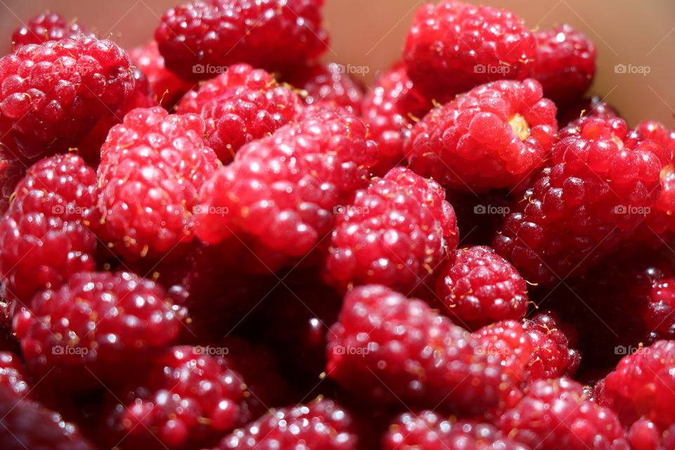 Berries ready to be eaten