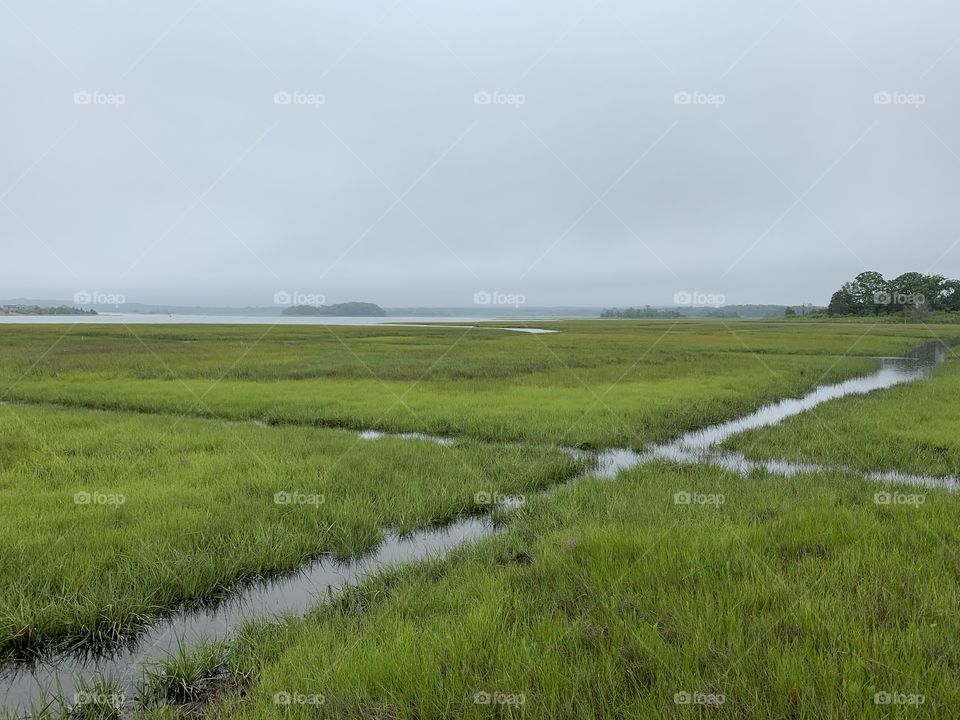 Pathways through the island