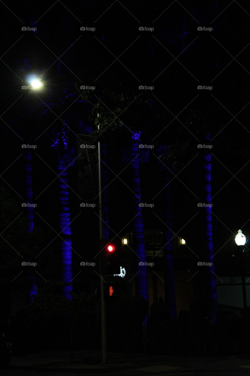 Light, Dark, Street, City, Music