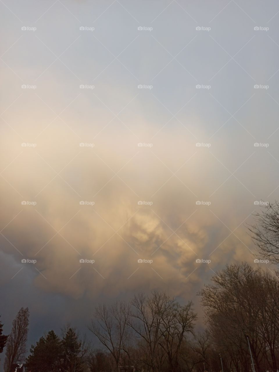 sky above trees before rain storm