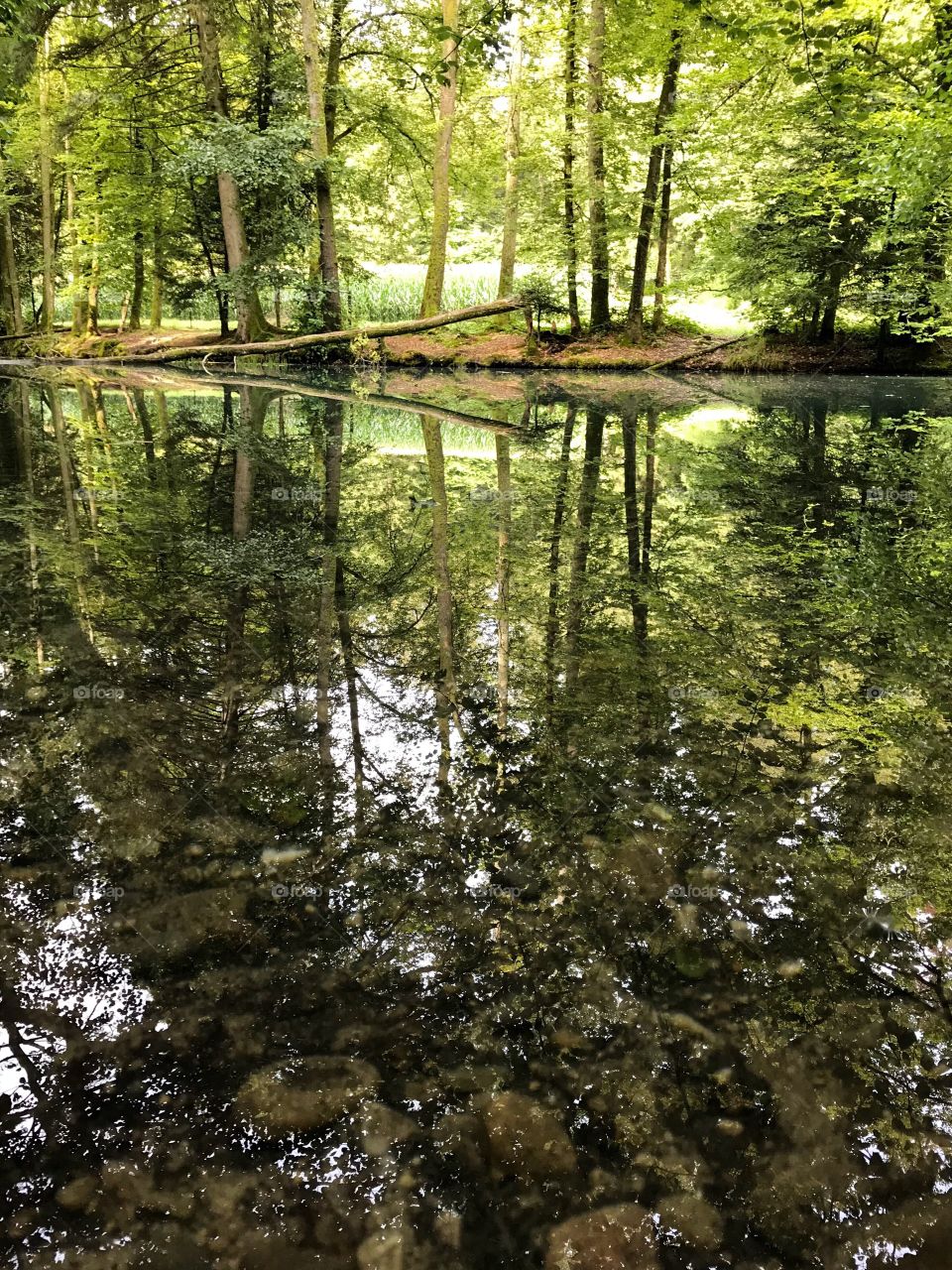 Steibachweiher 