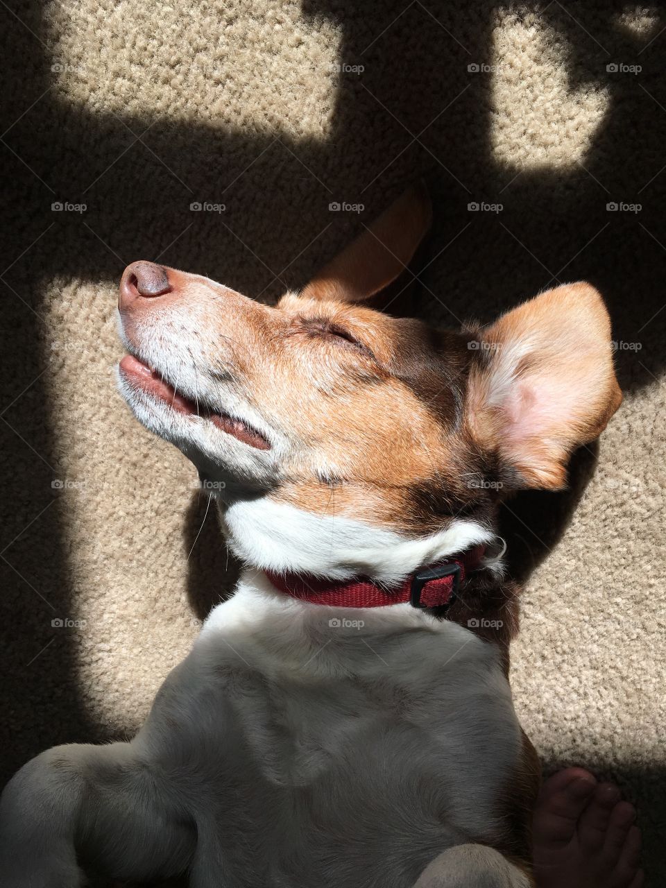 I'm working on my tan