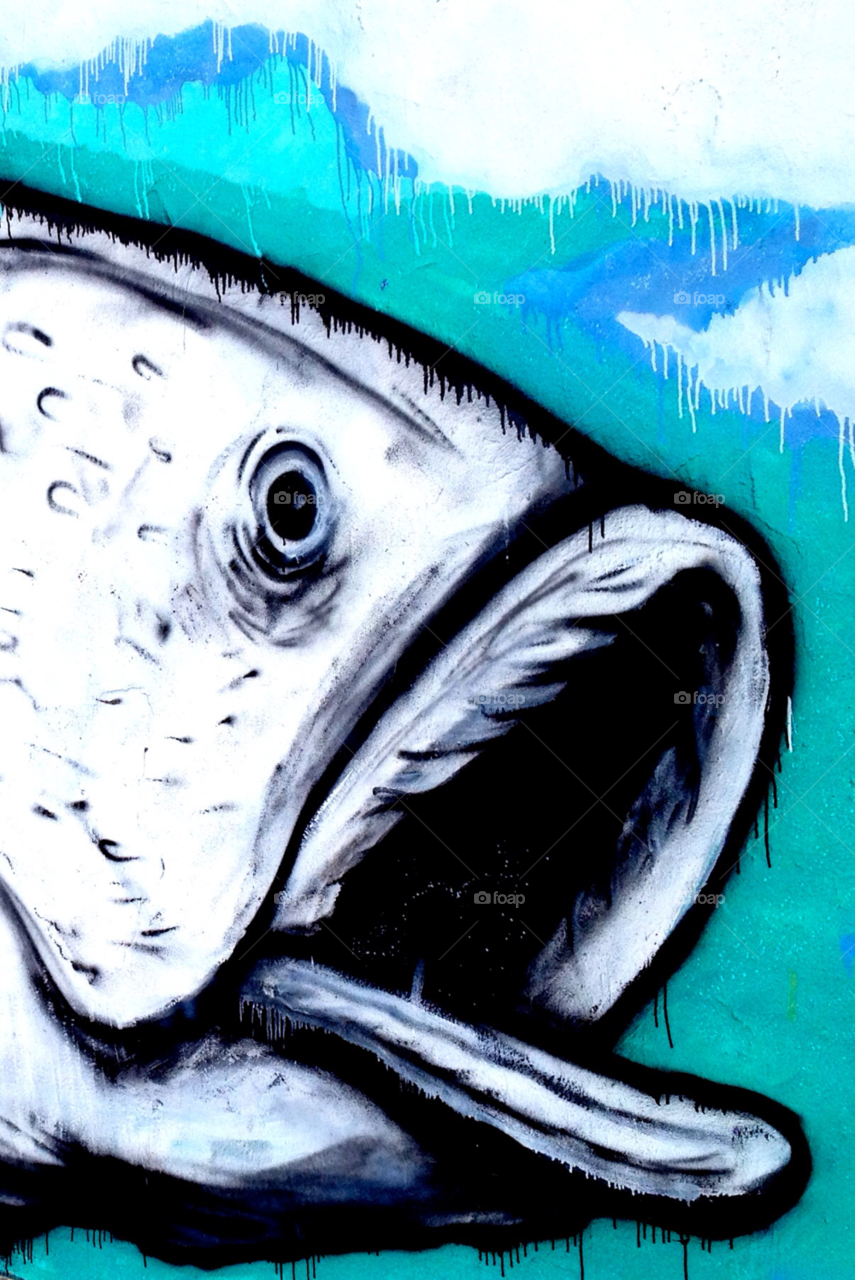 bondi beach sydney graffiti wall sushi by cataana