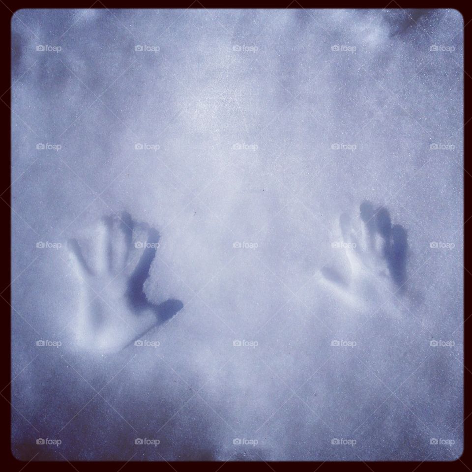 Snow prints