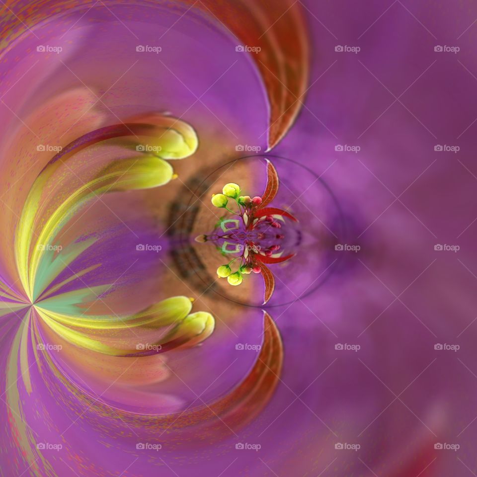 flower in colorful abstract