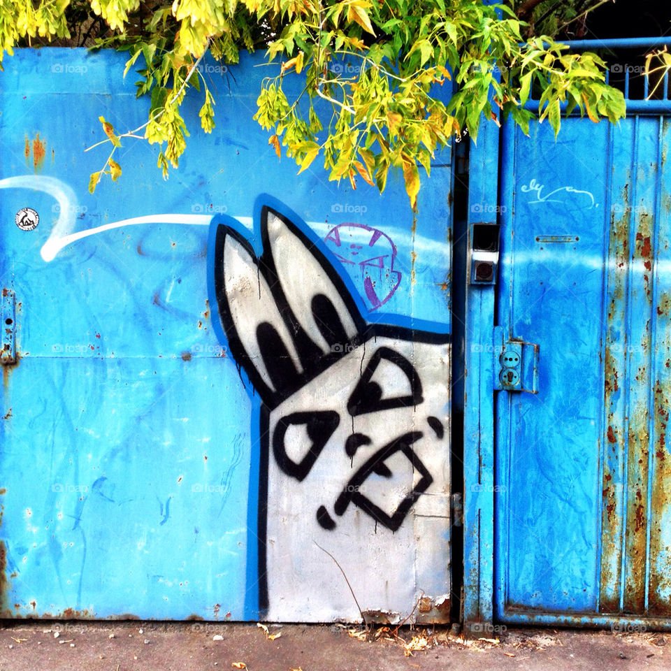 graffiti blue face wall by photosteron. graffiti blue face wall by photosteron