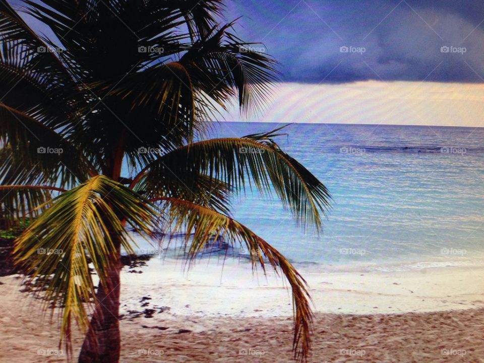 Beach scene