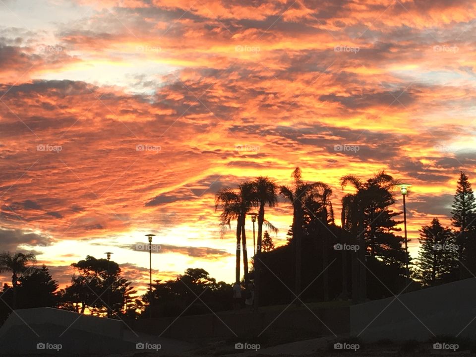 Australian sunset silhouette