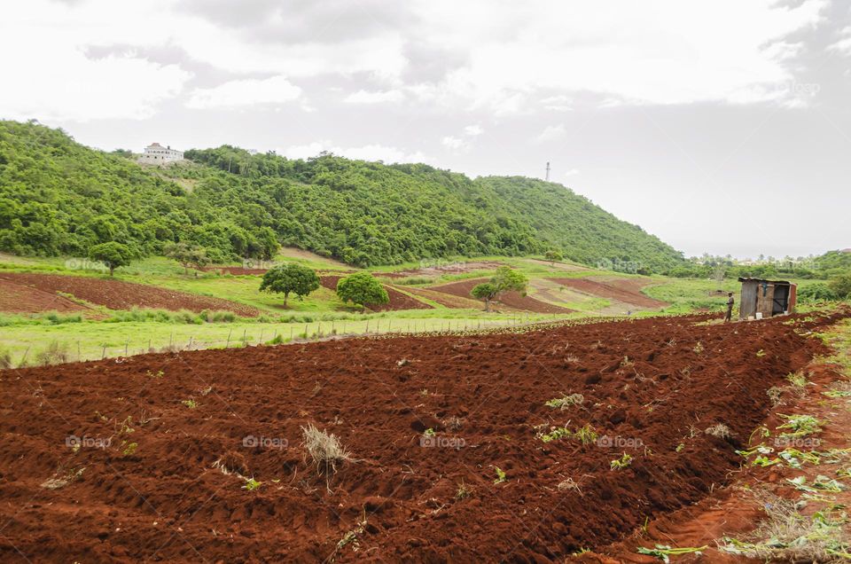 Ploughed Farmland