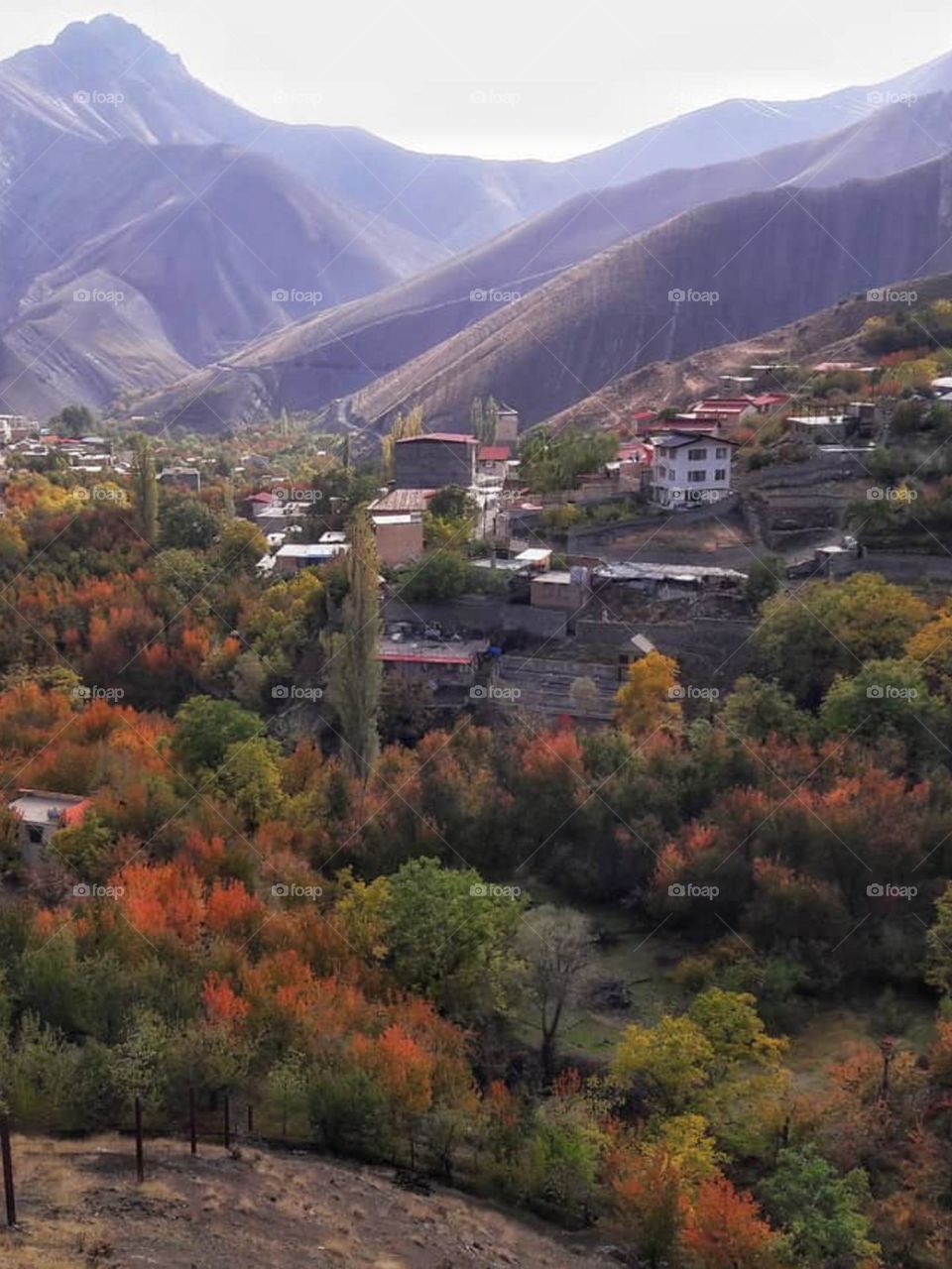 Fakk is always beautiful, but it has a different mood in countryside. Colorful forests, cold and pleasant weather, foggy mornings and peace. Autumn can be very relaxing..