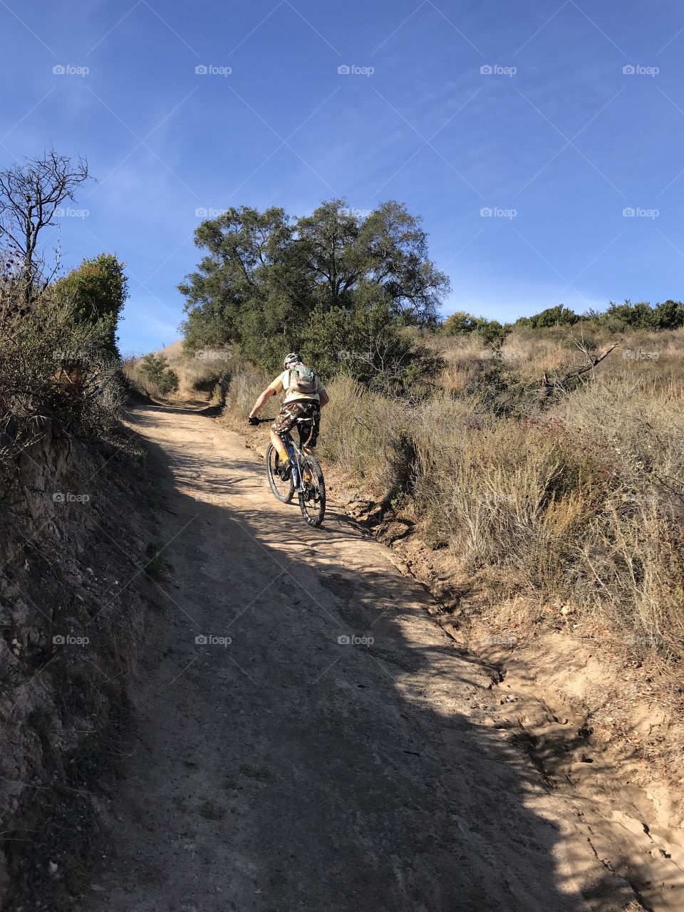 Mountain Biking on the Trail 