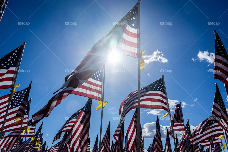 Field of Honor