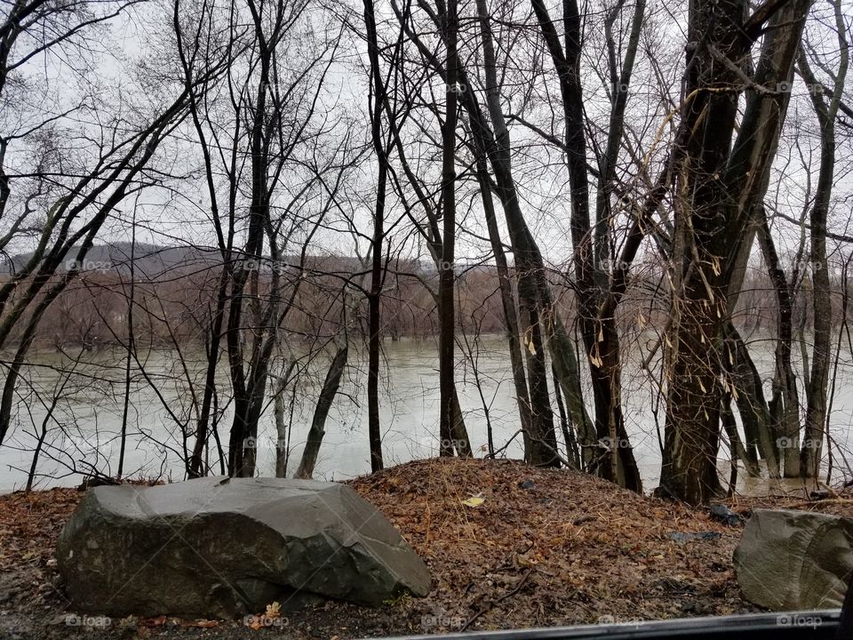 Rain Swollen River