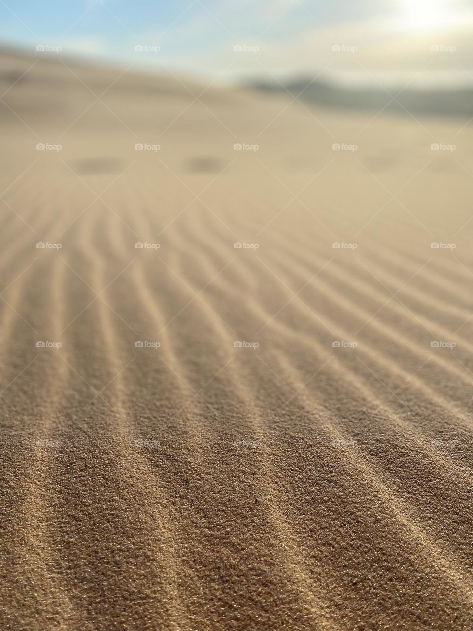 The image shows a close-up view of sand with a pattern of evenly spaced, wavy lines. These lines are likely formed by wind, creating ripples in the sand. 