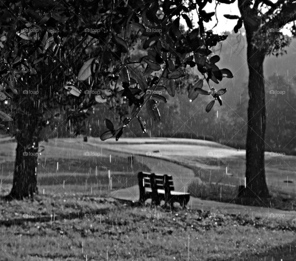 Lonely bench on the golf course on a rainy day. The effects of weather on our moods and emotions depends on our behavior and on how we think. The sun may melt our hearts. In rainy days people have lower satisfaction in their lives. 