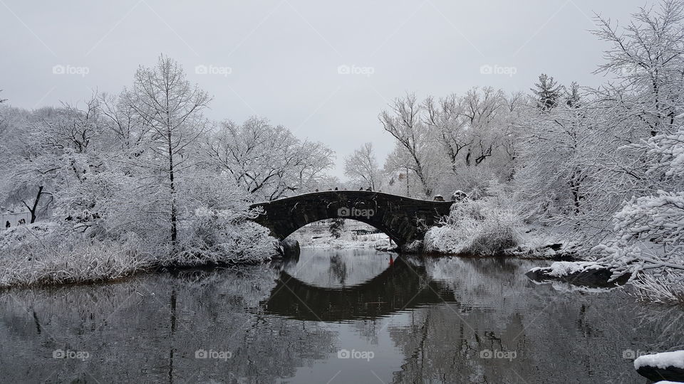 Winter in New York City. 🗽❄❄❄⛇☃🌨🌨🎄❄